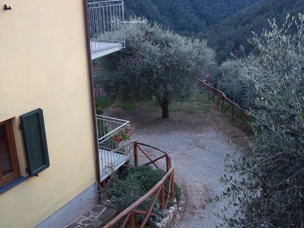 Caddelovi Appartement Fibbialla Kamer foto